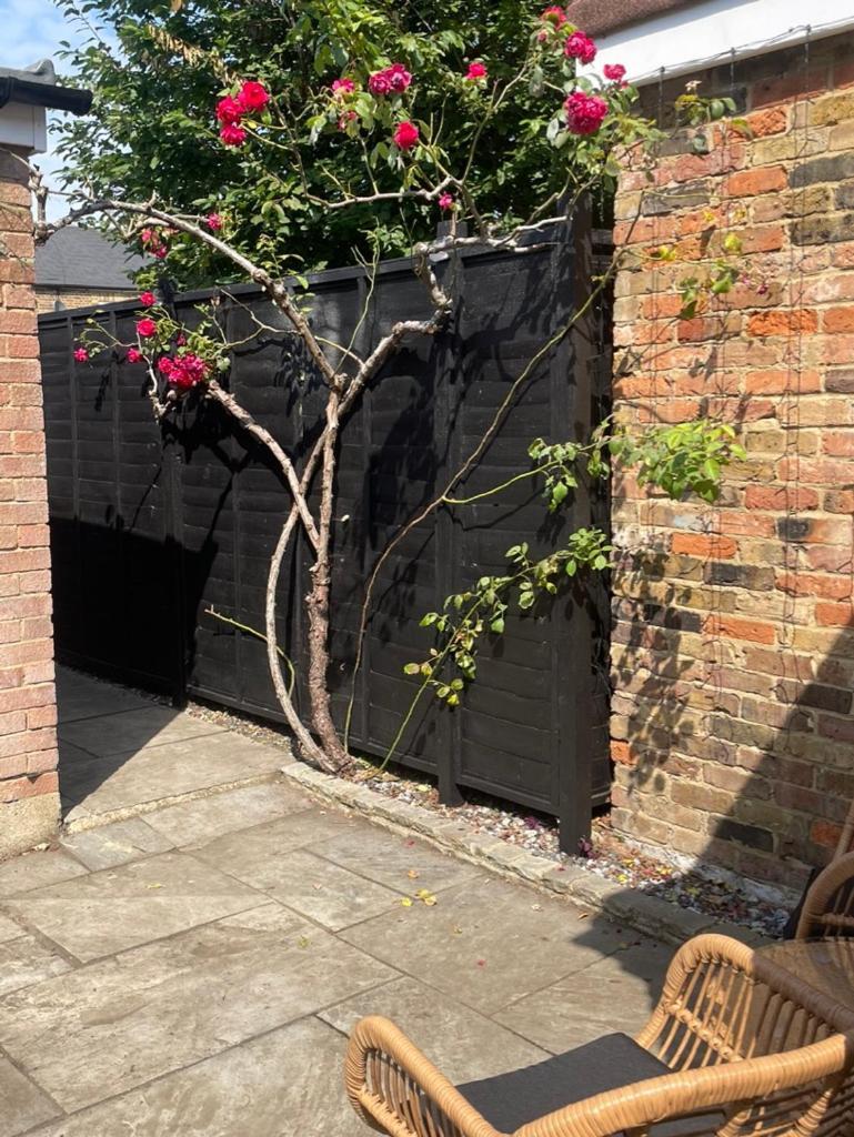 2 Bedroom House In Central Windsor - The Town Luaran gambar